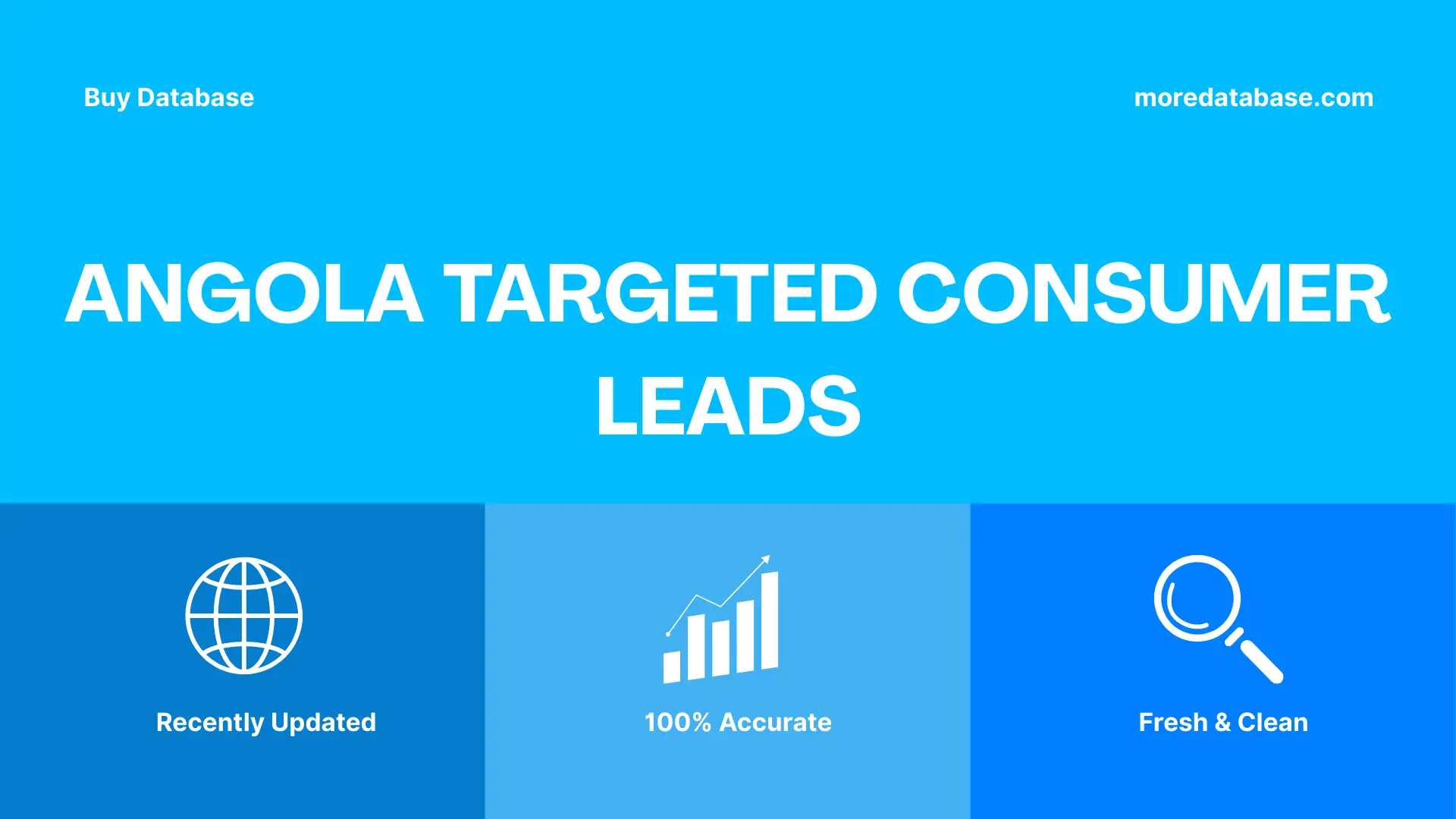 Angola Targeted Consumer Leads